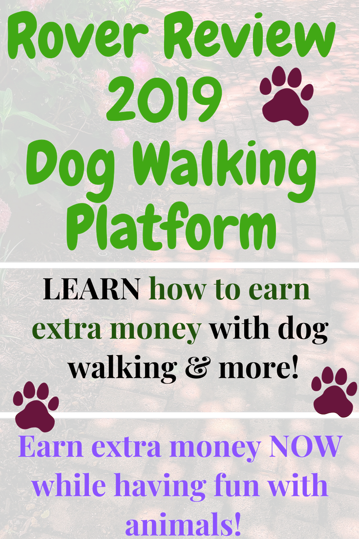 Rover Review 2019 - Dog Walking Platform - Wandering For Money